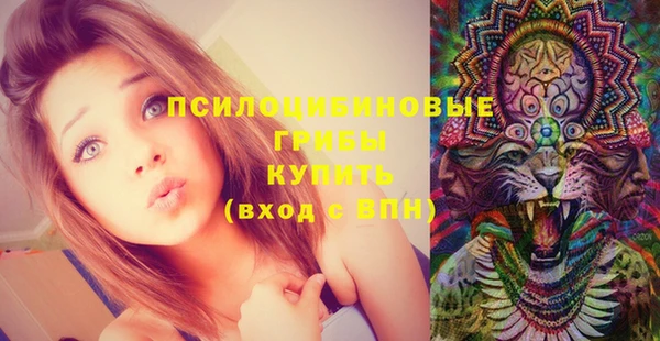 мяу мяу мука Алзамай