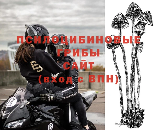бутират Алексеевка